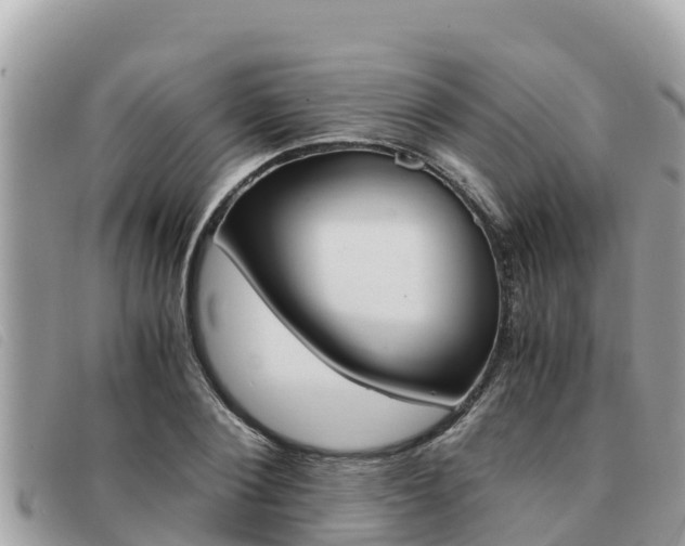 X0000091540884200708171008