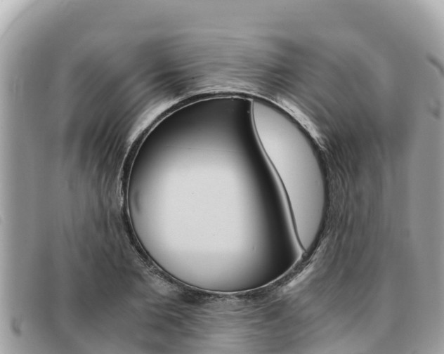 X0000091540885200708171008