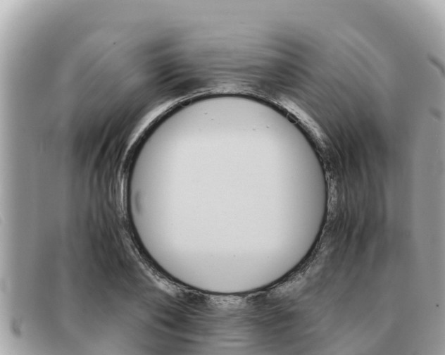 X0000091540886200708171008