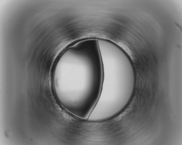 X0000091540888200708171008