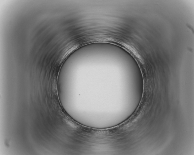 X0000091540889200708171008