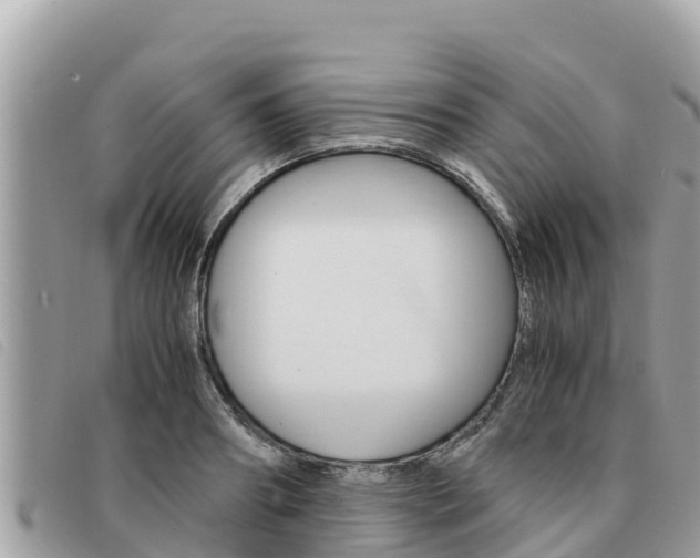 X0000091540890200708171008