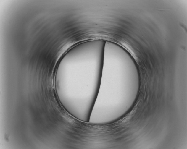 X0000091540891200708171008