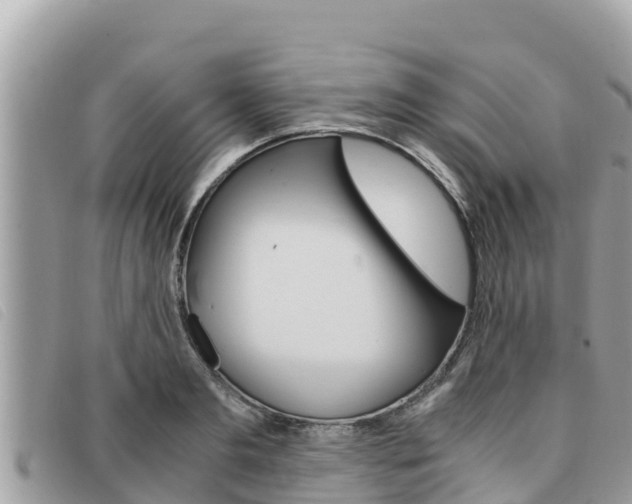 X0000091540893200708171008