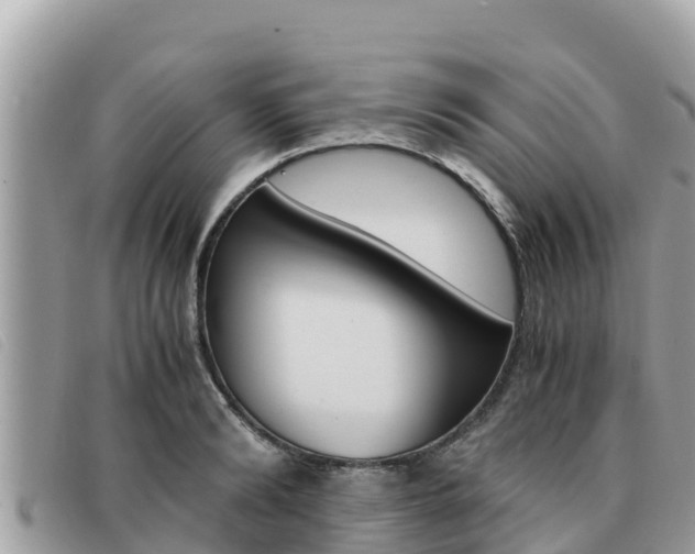 X0000091540894200708171008