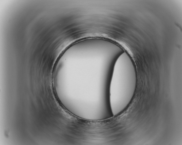 X0000091540895200708171008