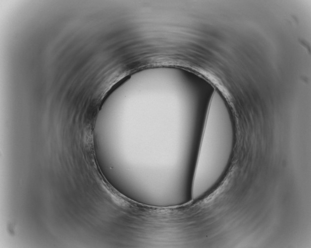 X0000091540897200708171008