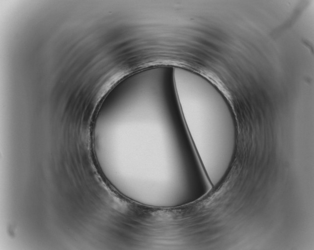 X0000091540898200708171008