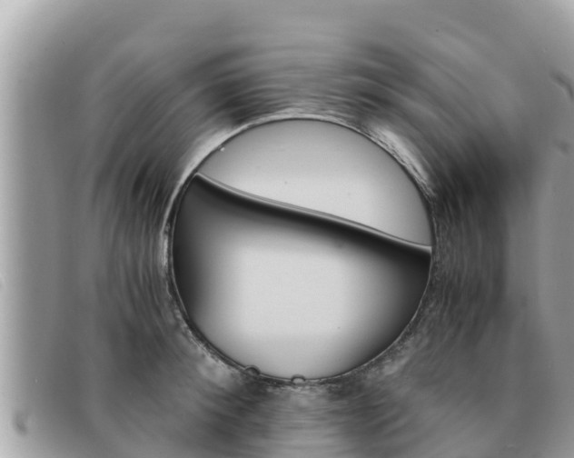 X0000091540900200708171008