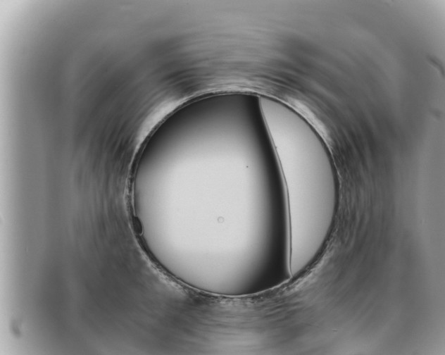 X0000091540901200708171008