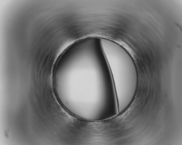 X0000091540902200708171008