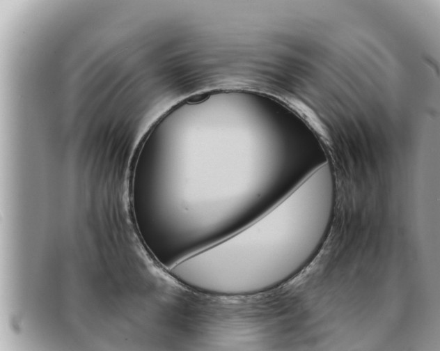 X0000091540904200708171007