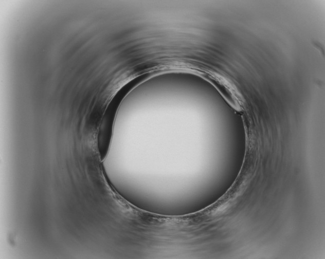 X0000091540905200708171007