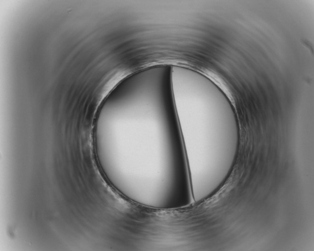X0000091540906200708171007