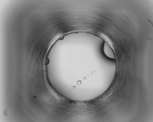 X0000091540907200708171007