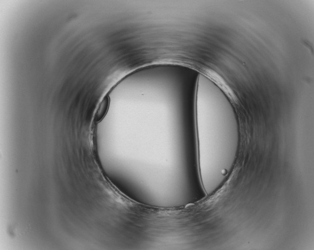 X0000091540908200708171007