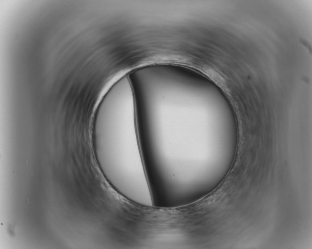 X0000091540912200708171007