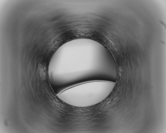 X0000091540915200708171007