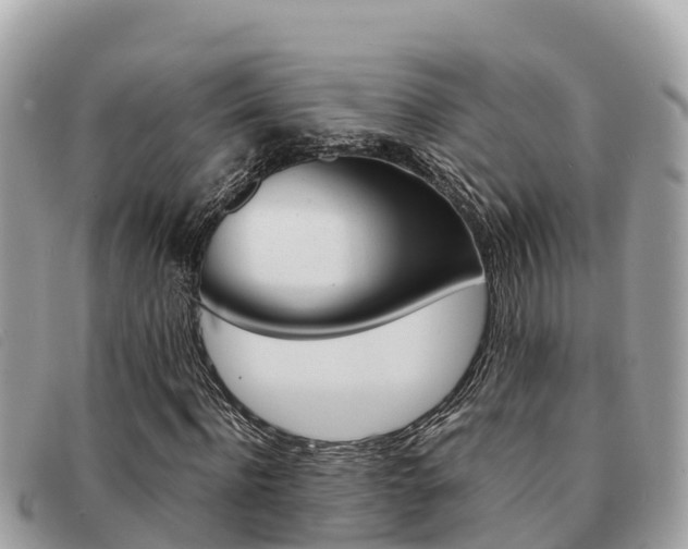 X0000091540916200708171007