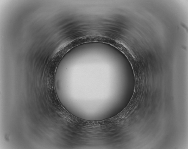 X0000091540919200708171007