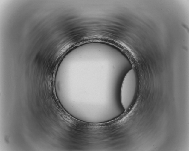 X0000091540921200708171007