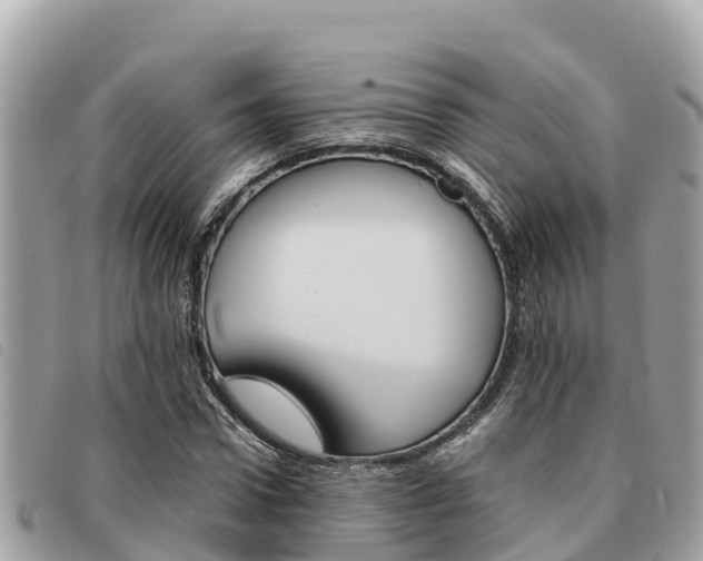 X0000091540922200708171007