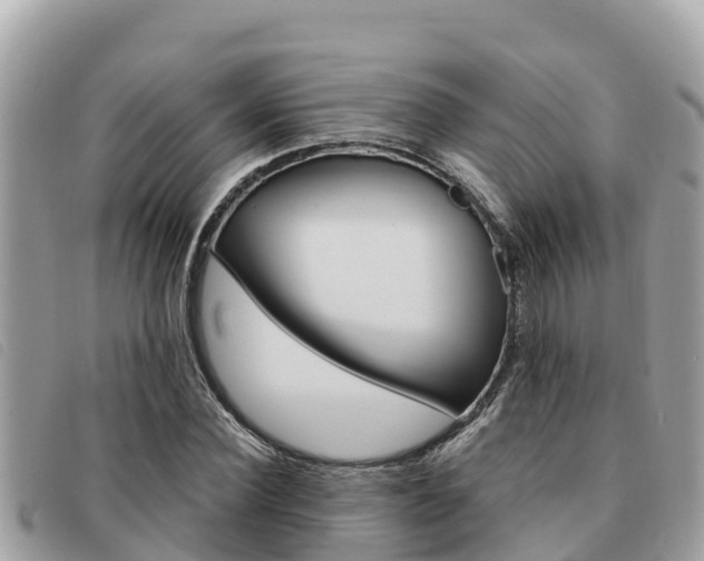 X0000091540924200708171007