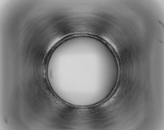X0000091540925200708171007