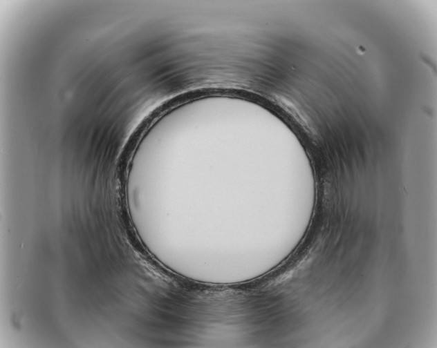 X0000091540926200708171007