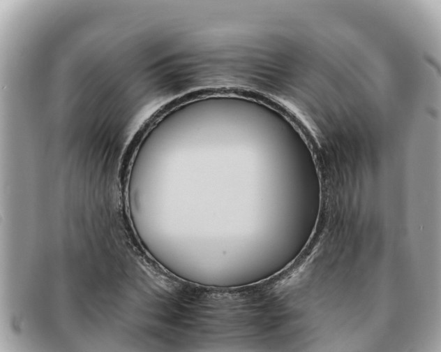 X0000091540927200708171007