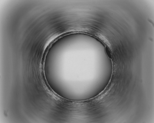 X0000091540928200708171007