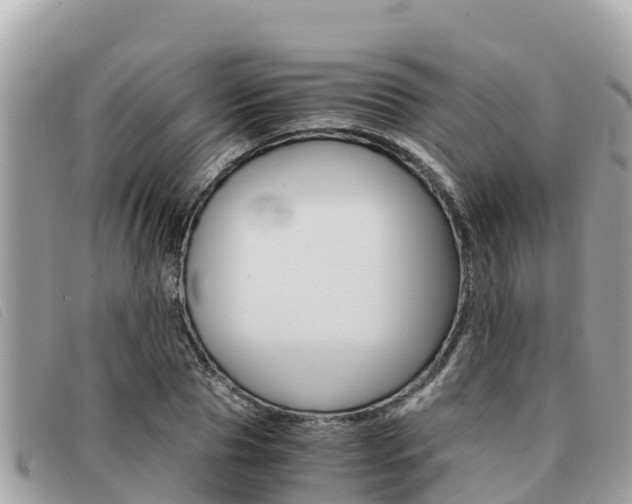X0000091540929200708171007