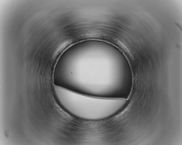 X0000091540930200708171007