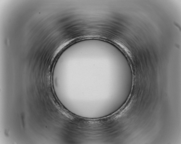 X0000091540933200708171007