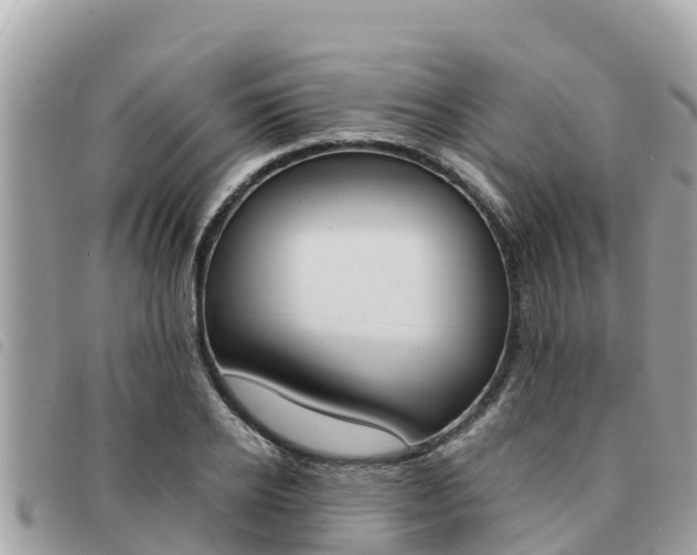 X0000091540934200708171007