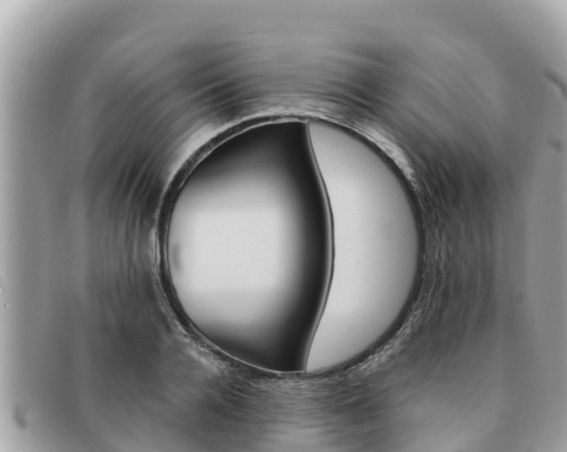 X0000091540936200708171007