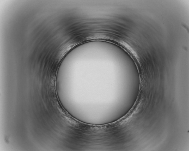 X0000091540937200708171007