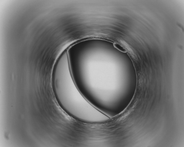 X0000091540940200708171007