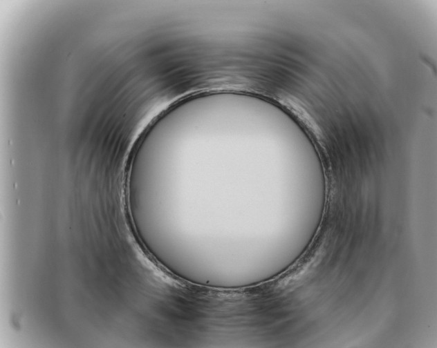 X0000091540941200708171007