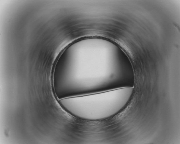 X0000091540943200708171007