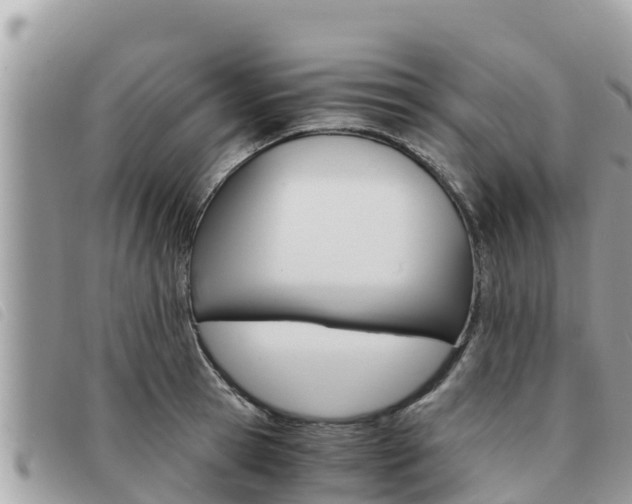X0000091540945200708171007
