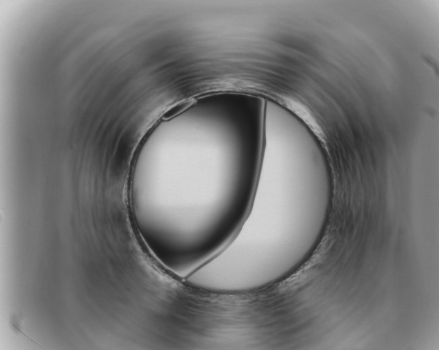 X0000091540946200708171007