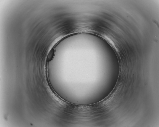 X0000091540947200708171007
