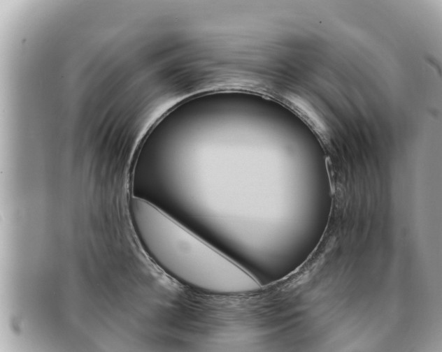 X0000091540948200708171007