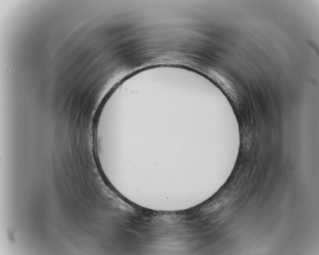 X0000091540950200708171007
