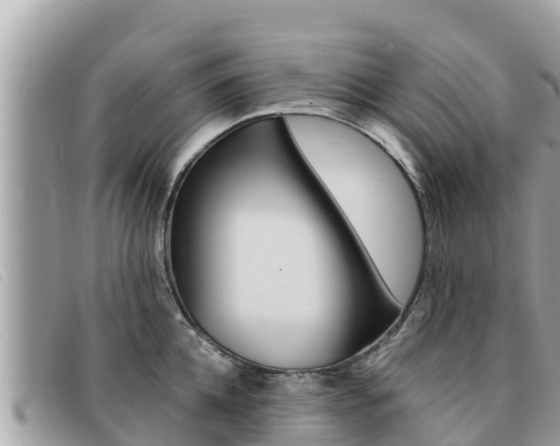X0000091540952200708171007