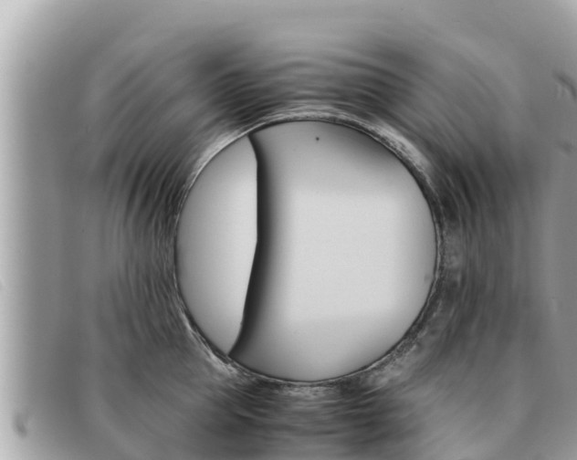 X0000091540953200708171007