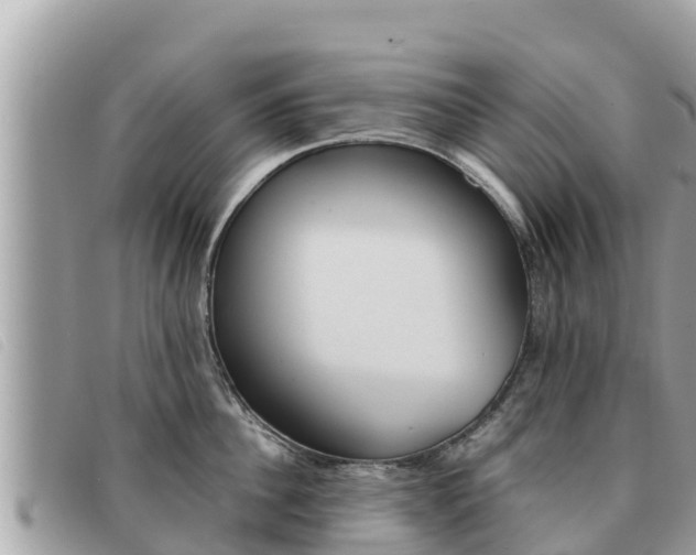 X0000091540956200708171007