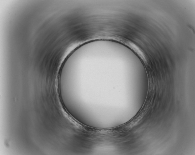 X0000091540958200708171007