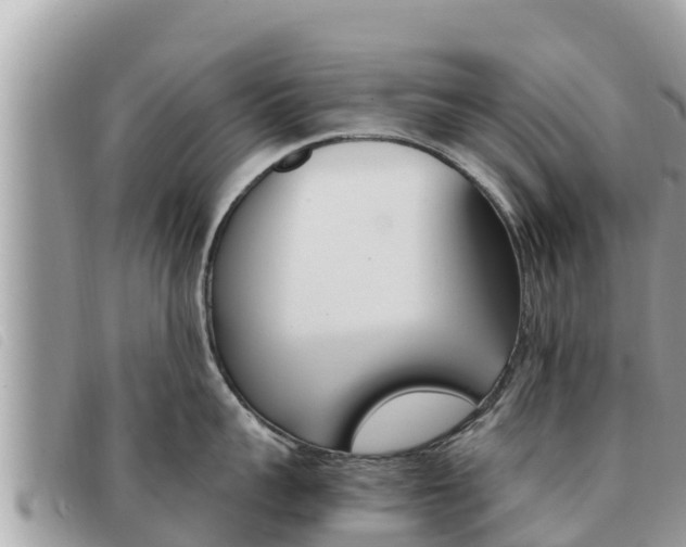 X0000091540959200708171007